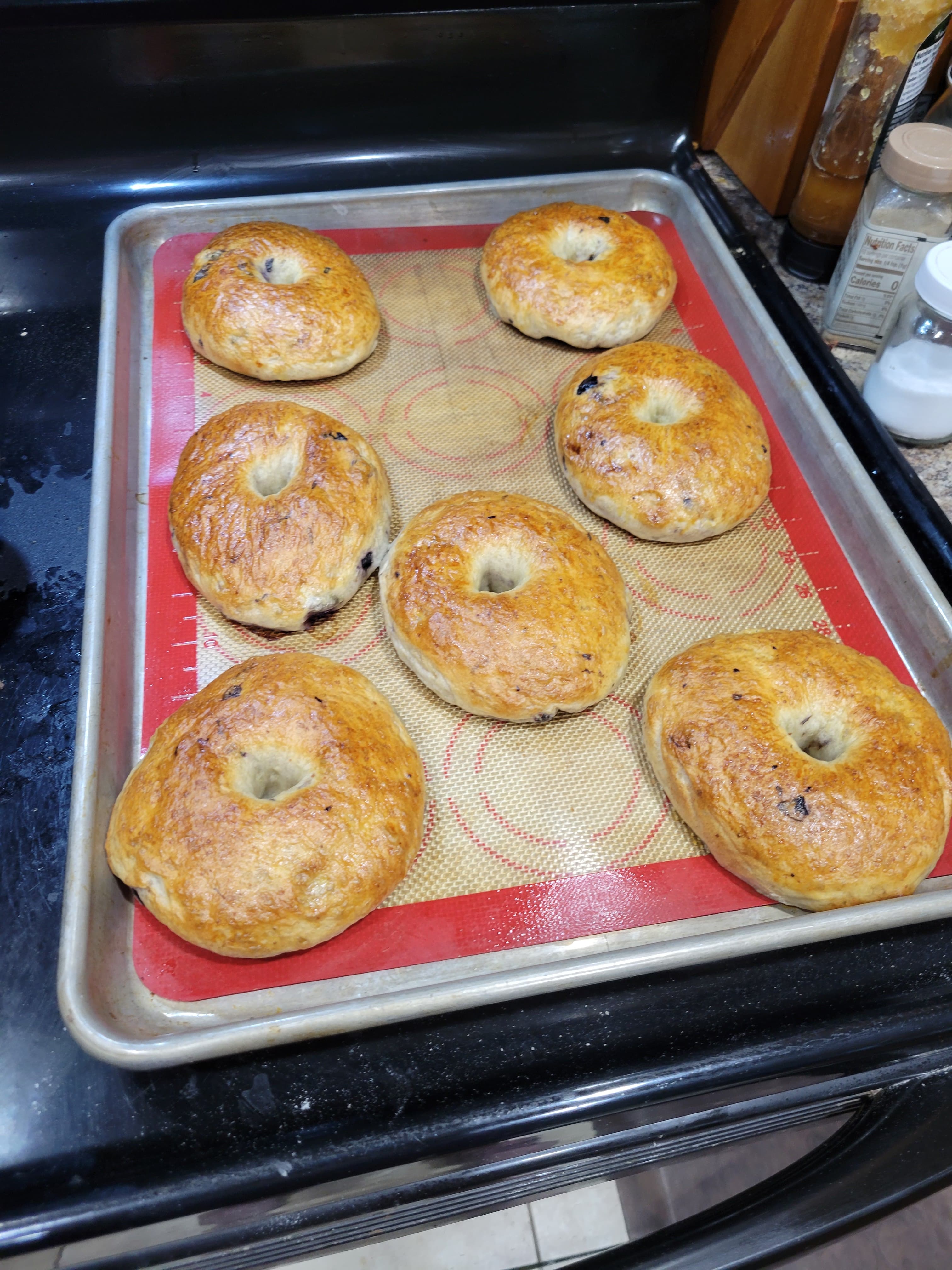 Cranberry Bagels